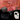 Reise Bundle - Auduro.ch