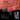 Reise Bundle - Auduro.ch