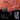 Reise Bundle - Auduro.ch