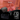 Reise Bundle - Auduro.ch