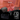 Reise Bundle - Auduro.ch