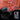Reise Bundle - Auduro.ch