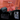 Reise Bundle - Auduro.ch