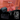 Reise Bundle - Auduro.ch